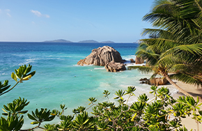 7 Days Seychelles Honeymoon Package from Delhi