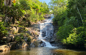 Seychelles Honeymoon Package from Delhi
