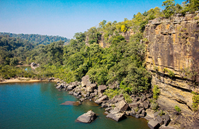 Odisha Wildlife Tour package